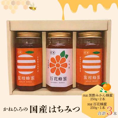 ふるさと納税 太良町 かねひろの国産はちみつ(黒酢みかん蜜、百花蜜)計3本【P-42】