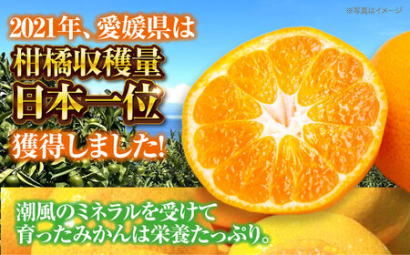温州みかん 5kg 玉川農園[AGBC005] みかんみかんみかんみかんみかん
