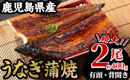＜数量限定＞国産うなぎ(鹿児島県産うなぎ)蒲焼(特大サイズ2尾・約400g) 国産 国産魚 九州産 鹿児島県産 魚 魚介 鰻 うなぎ ウナギ 蒲焼 蒲焼き 惣菜 冷凍【南竹鰻加工】【01-025-16-90】