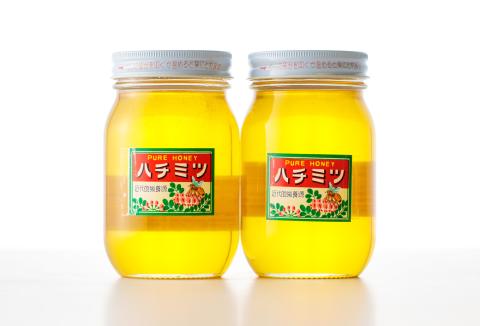 高原町産天然はちみつ 1.2kg(600g×2本) 国産のおいしい蜂蜜 TF0364-P00011