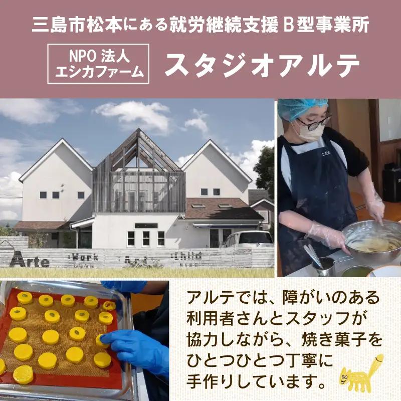 焼き菓子 ギフトボックス （M）  3種 14個入り クッキーセット