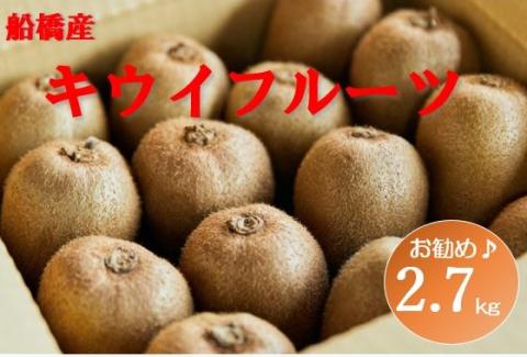 【11月発送分】船橋産キウイフルーツ2.8kg未追熟バラ詰め【傷み補償分約100ｇ込み】(E09)