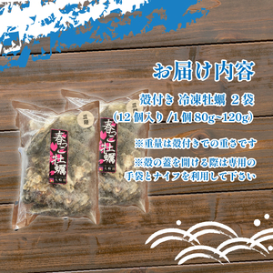 殻付き 春っこ 牡蠣 2袋 ( 12個入×2 ) 生食用 冷凍 数量限定 カキ かき 殻付き牡蠣