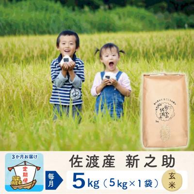 ふるさと納税 佐渡市 【毎月定期便】佐渡島産新之助 玄米5kg　全3回