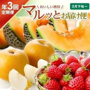 SE0484　【3回定期便】おいしい酒田 マルっとお届け便2026(1) 3月下旬～ (いちご、紅花メロン、刈屋梨)