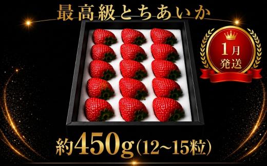 いちご【先行予約】【2027年1月発送】とちあいか贈答用 黒箱 いちご プレミアム ギフトBOX 約450g【栃木県 真岡市産】いちご 果物 イチゴ 苺 旬 産地直送 国産