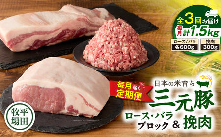 【 全3回 毎月 定期便 】 日本 の 米育ち 平田牧場 三元豚 バラブロック 600g ・ 豚ロースブロック 600g ・ 豚挽肉 300g T036-T14-01 定期 肉 お肉 にく 豚 豚肉 ブタ ぶた とんかつ 焼豚 ハンバーグ そぼろ 黒豚 冷凍 バークシャー種 特別品種 便利 パック おかず 夕食 美味しい おいしい ジューシー ふるさと納税 北海道 苫小牧市 おすすめ ランキング プレゼント ギフト