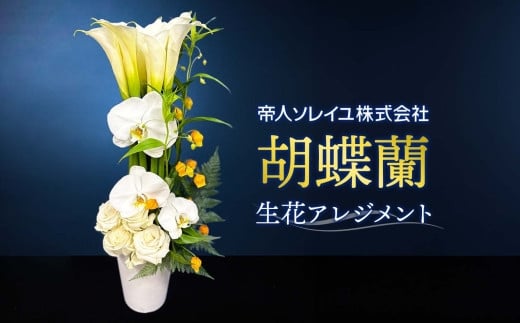 胡蝶蘭 生花アレンジメント H400mm×W180mm 053（コ）