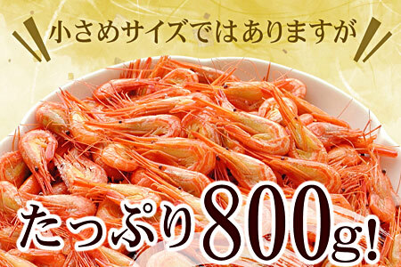 【北海道根室産】北海シマエビ1kg(160～180尾) A-56014