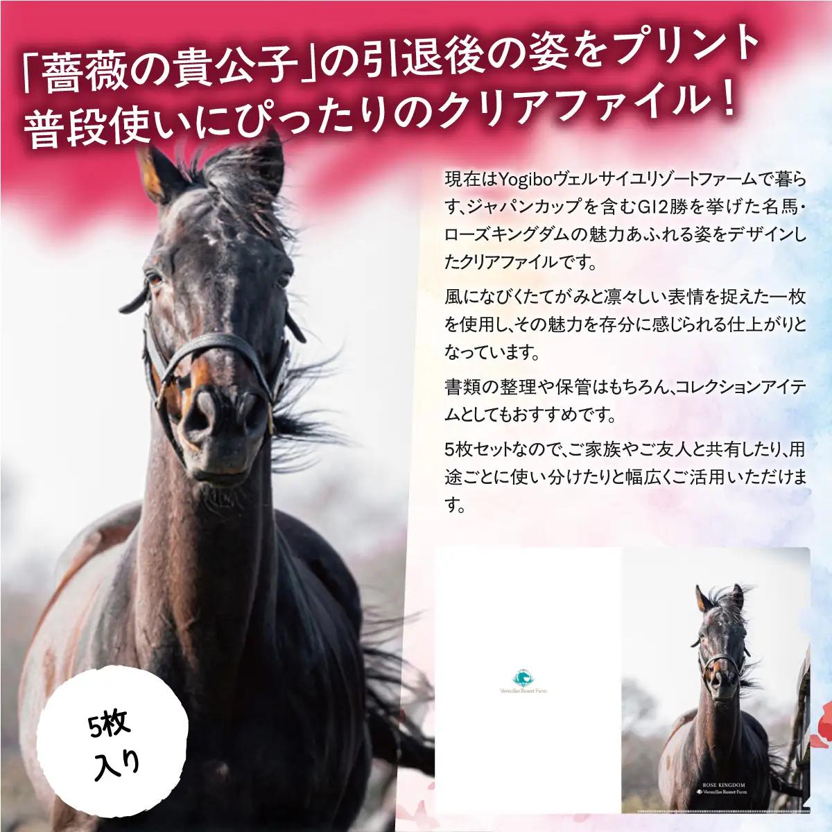 【ローズキングダム】クリアファイル 写真5枚入り BRTV255