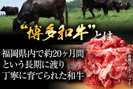 【ふるなび限定】【先行予約】訳あり！【A4～A5】博多和牛切り落とし 500ｇ CP015er FN-Limited 