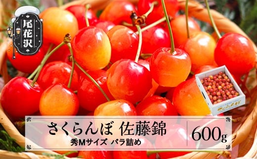 先行予約 2026年産 さくらんぼ 佐藤錦 秀Mサイズ 600g 1箱 バラ詰め 令和8年産 山形県産 ns-snsmb600