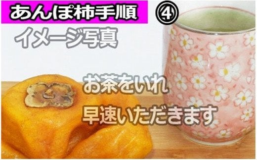  【県認定エコファーマー】あんぽ柿用生渋柿（平たねなし柿） 約4.5～5kg【10月下旬から順次発送】 /柿 フルーツ 果物 くだもの 先行予約 タネなし 食品 人気 おすすめ 送料無料 和歌山 【a