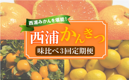【 柑橘 定期便 】 訳あり 味比べ 3回 定期便 由良 みかん 2.5kg 寿太郎 みかん 2.5kg レモネード 2kg 静岡 沼津 西浦