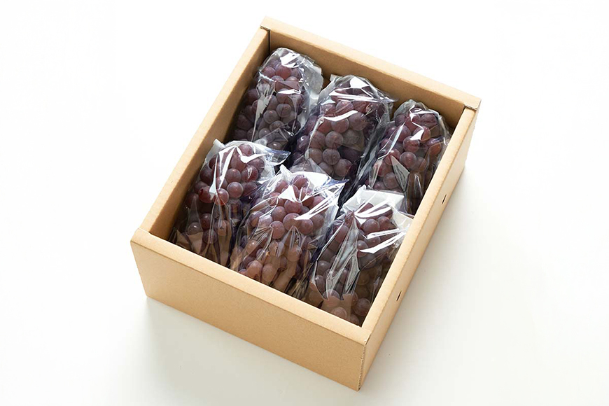 
            【期間限定発送】 デラウェア 秀品 5～6房 約1kg [相良果樹園 山形県 高畠町 tk06ayt350000] 贈答用 個包装 種無し ブドウ 葡萄 産地直送 農家直送 フルーツ 果物 くだもの
          