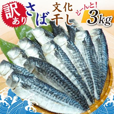 ふるさと納税 神栖市 【訳あり】さば文化干し　どーんと!3kg