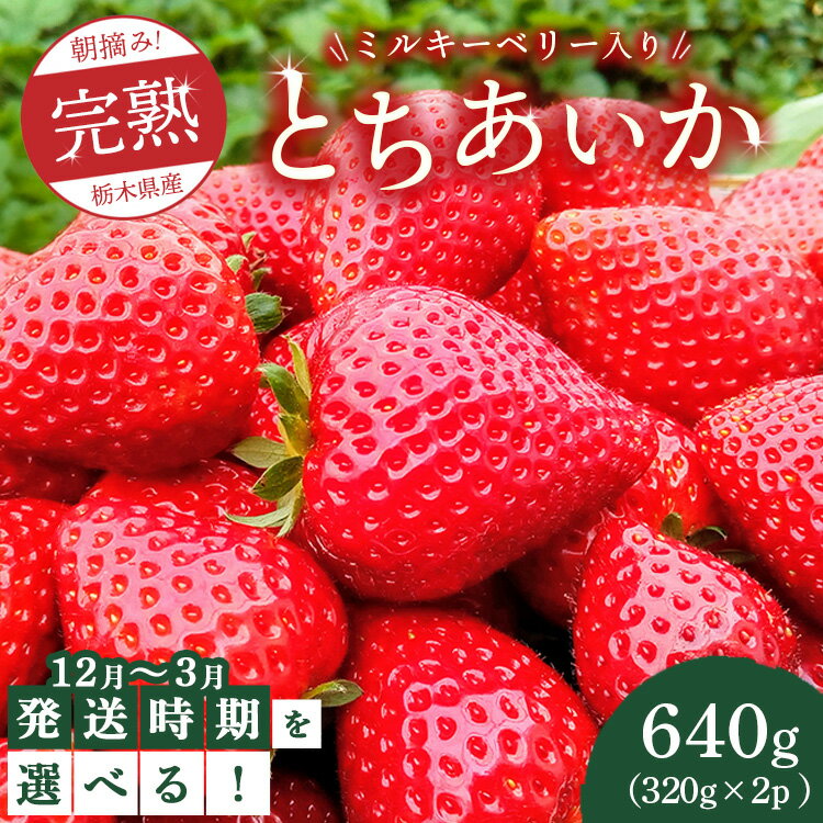 【ふるさと納税】【先行予約】【選べる発送月】朝摘み！完熟とちあいか《ワンポイントにミルキーベリー入り》640g（320g×2p）　※離島への配送不可