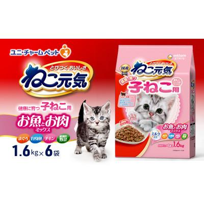 ふるさと納税 伊丹市 ねこ元気 健康に育つ子ねこ用 お魚とお肉ミックス 1.6kg×6袋[54030475]