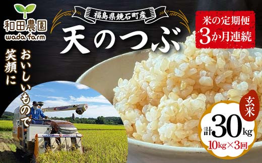 
            【米の定期便】福島県鏡石町産 和田農園「天のつぶ」玄米10kg 3か月連続 F6Q-205
          