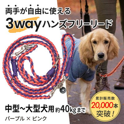 【ふるさと納税】【犬用】3WAYハンズフリーリード(中型～大型犬用)パープル×ピンク【ゴールデンママ】【配送不可地域：離島・沖縄県】【1743319】