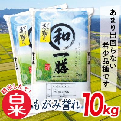 ふるさと納税 最上町 【白米】令和7年産山形県産もがみ誉れ10kg