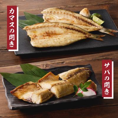 ふるさと納税 玄海町 【旨味凝縮】元漁師が手掛ける厳選干物玄界灘の贅沢干物 6種セット【A071】 |  | 03