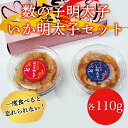 【ふるさと納税】数の子明太子＆いか明太子 セット 各100g とくとく珍味 辛子明太子使用 [a8214] 株式会社マル五 ※配送不可：離島【返礼品】添田町 ふるさと納税