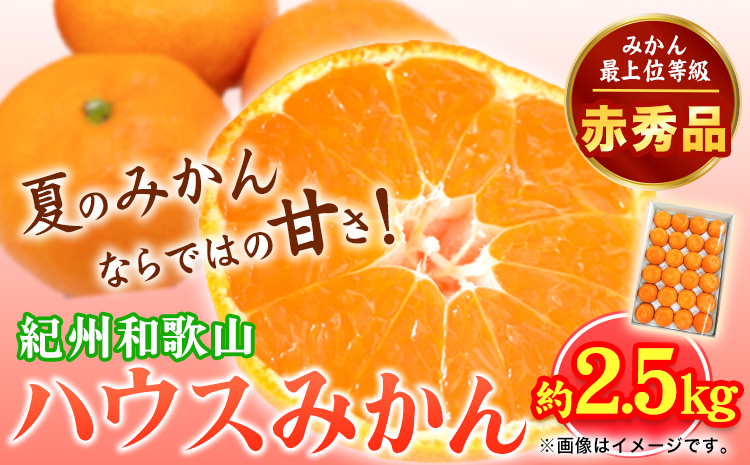 赤秀品　紀州和歌山 ハウス みかん 約 2.5kg 株式会社魚鶴商店《6月下旬-7月中旬頃出荷》和歌山県 日高町 みかん ミカン 蜜柑 フルーツ 柑橘(F)