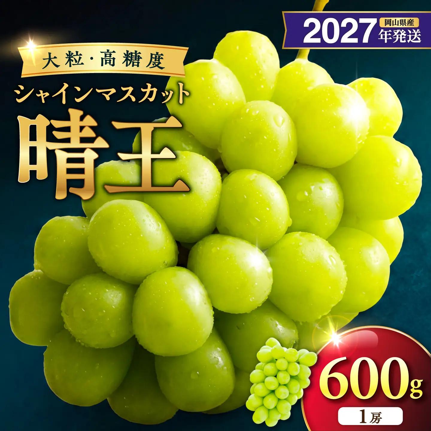2027年発送 岡山県産シャインマスカット 晴王 秀品 1房 約600g【シャインマスカット】