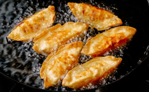 揚げ 餃子 北本トマトカレー セット 餃子40個 +カレー2人前 | ギョウザ 冷凍餃子 ギョーザ 冷凍ギョウザ 冷凍ぎょうざ ぎょうざ ぎょーざ B級 ご当地 グルメ王 入賞 トマト トマトカレー 