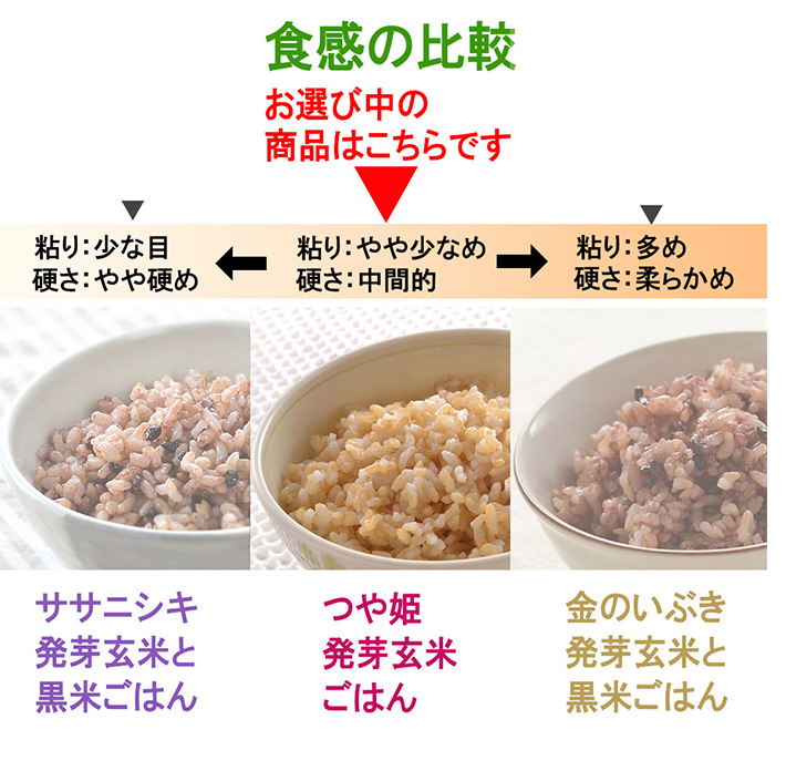 ＜3ヶ月定期便＞発芽玄米パックご飯 計48パック(16パック×3回) つや姫発芽玄米 発芽玄米 レンジ 有機栽培 パックご飯 パックごはん ご飯パック ごはんパック パックライス ご飯 米 レンチン 