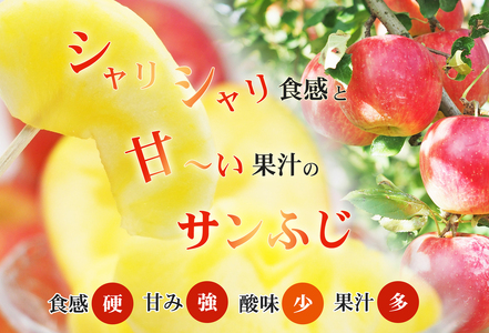 No.2772 ふくしまのサンふじりんご　約10kg【2026年度発送】