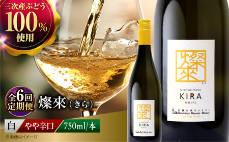 【全6回定期便】白ワイン 燦來 きら KIRA 750ml×1本[APAZ130]白ワイン