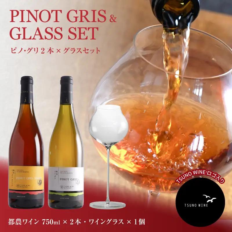 ≪数量限定≫都農ワイン ピノグリ2本&グラスセット 酒 飲料 アルコール 国産 ロナ_T014-0215