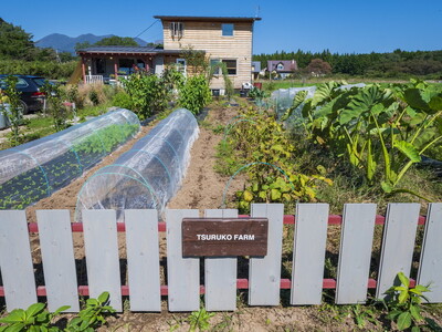 なんにでも合う！那須の畑で採れた新鮮なハラペーニョを使った爽やかな辛さのハラペーニョソース「つるスコ」2本セット 〔A-59〕 ｜ タバスコ 調味料 無添加 栃木県 那須町