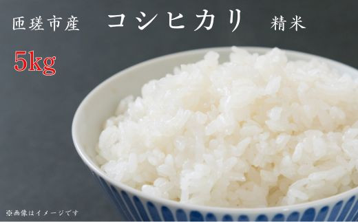 匝瑳市産　コシヒカリ　精米　5kg ／ 米 こめ コメ コシヒカリ こしひかり 5kg 産地直送