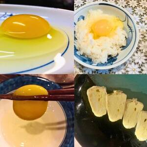 岡山美作の赤土台地でじっくり育てた季節の野菜約8種類と平飼い卵(6個入り)のセットです。【配送不可地域：離島】【1530200】