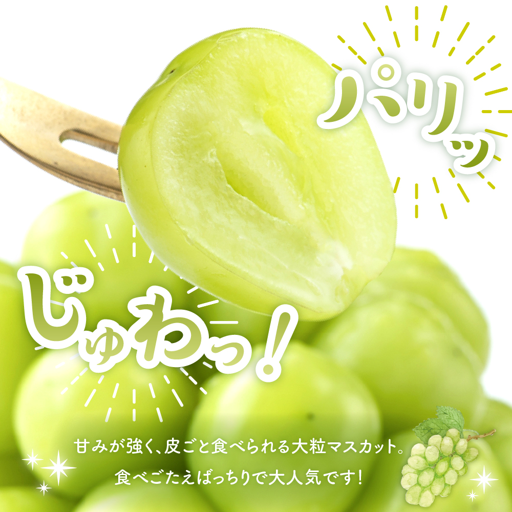 【2026年 先行予約】ぶどう「シャインマスカット」1房 (約700g) 山形県 東根市 hi003-152