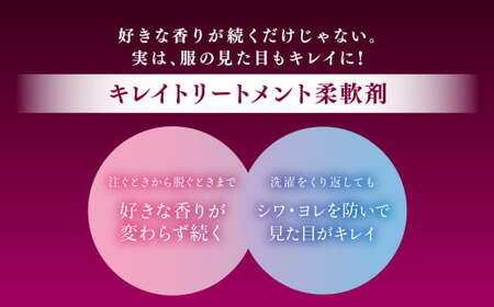 ソフラン アロマリッチ ジュリエット 替特大 セット （替特大6個） 合計5700ml 柔軟剤 洗濯 日用品 生活用品 ライオン