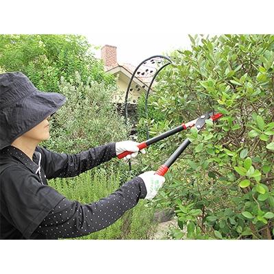ふるさと納税 三木市 庭木のお手入れに　太枝切鋏500mm(レッド)・剪定鋏・剪定鋸の3点セット |  | 01