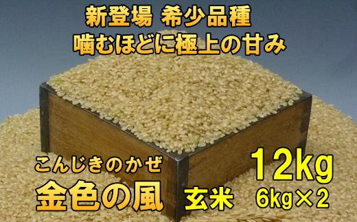 【玄米12kg】新登場の高級米　令和6年産  岩手県奥州市産 金色の風12kg（6kg×2）【７日以内発送】