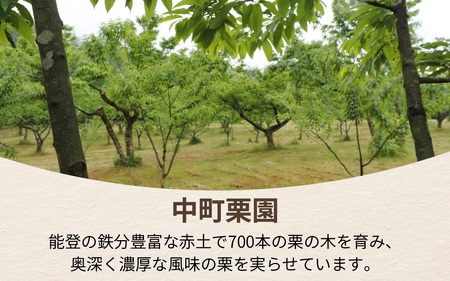 【先行予約】中町栗園の能登栗3kg～能登の大地で育った能登栗～【2025年9月下旬より順次発送】 / 能登半島 奥能登 くり 生栗 マロン 和栗 焼き栗 栗ごはん 焼き栗 国産 果物