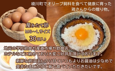 オリーブたまご30個　オリーブ飼料を食べて健康に育った鶏さんからの贈り物 
