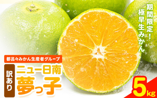 【先行予約】訳あり みかん ニュー日南 (夢っ子) 5kg 都呂々みかん生産者グループ《2026年9月中旬-10月上旬頃出荷》フルーツ 果物 くだもの 柑橘 柑橘類 蜜柑 熊本県 苓北町【配送不可地域あり】
