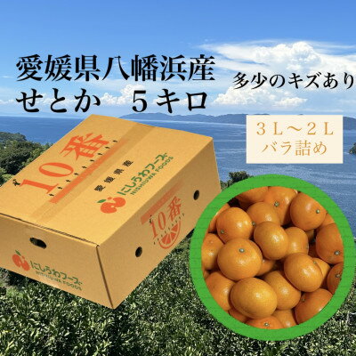 【ふるさと納税】愛媛県八幡浜産「せとか」5kg　サイズ3L～2L【F79-30】【1698686】