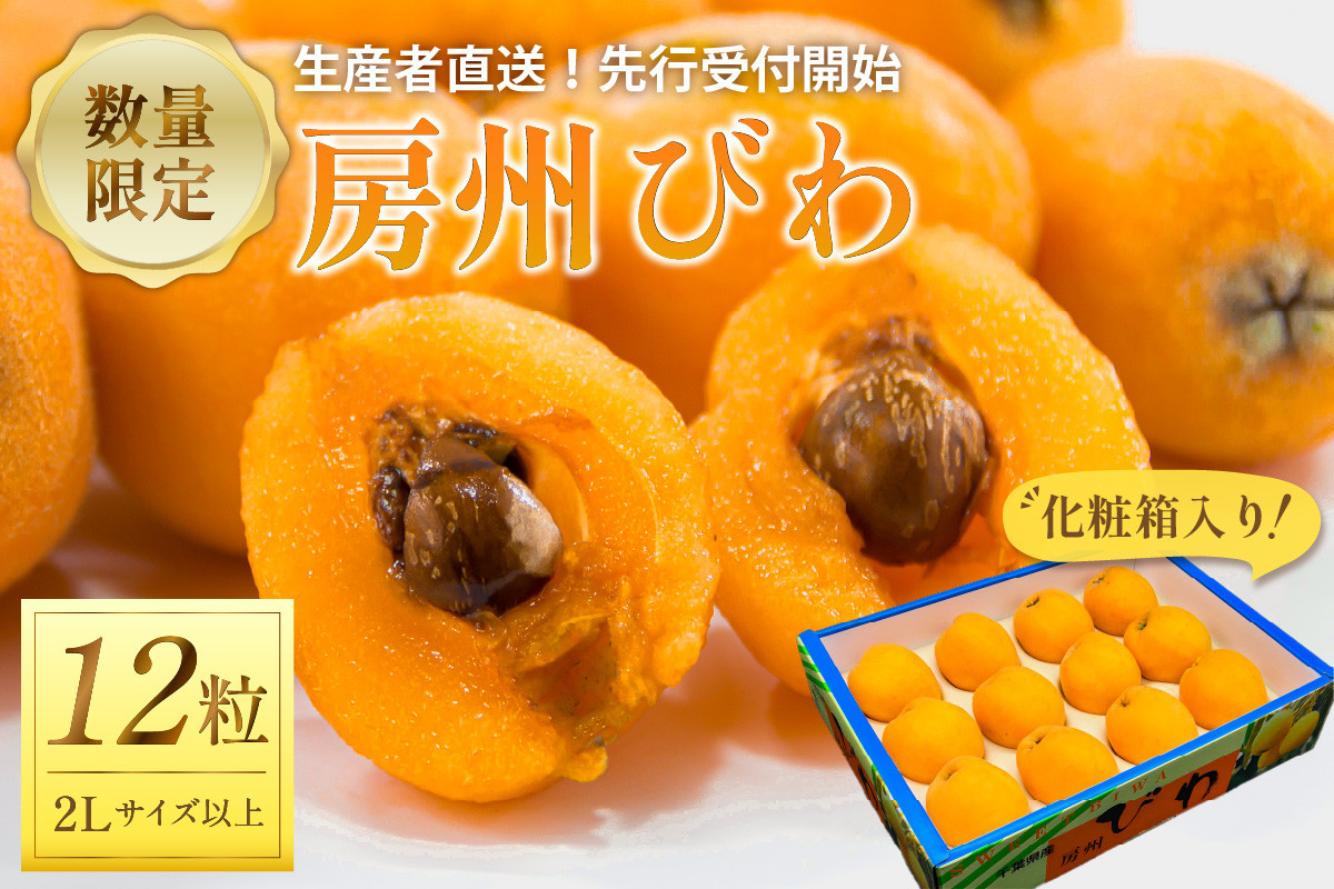 
            【2025年5月下旬～6月中旬発送予定】房州びわ2Lサイズ以上×12粒（化粧箱入り） mi0044-0014
          