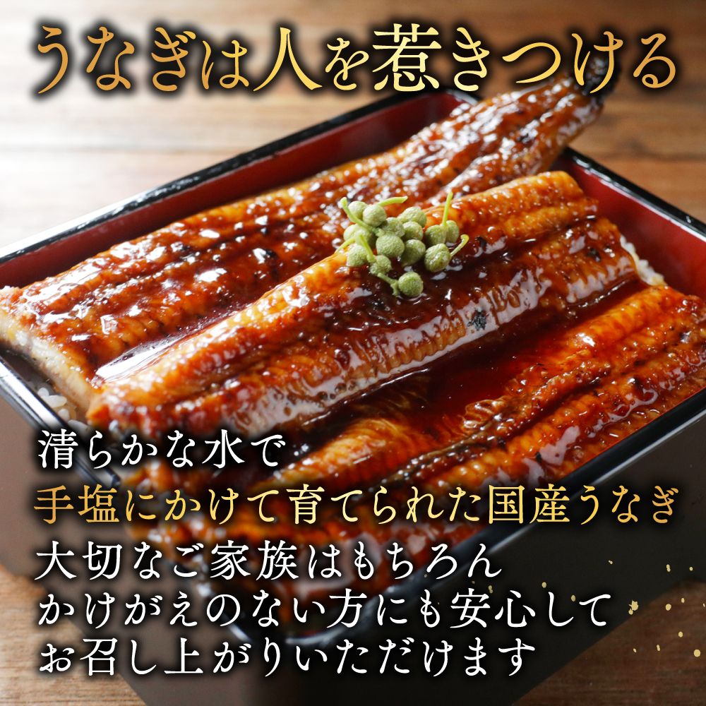 （6月発送）国産　特大　特上うなぎ 2尾 合計 380g 以上【OT000O190】_イメージ3