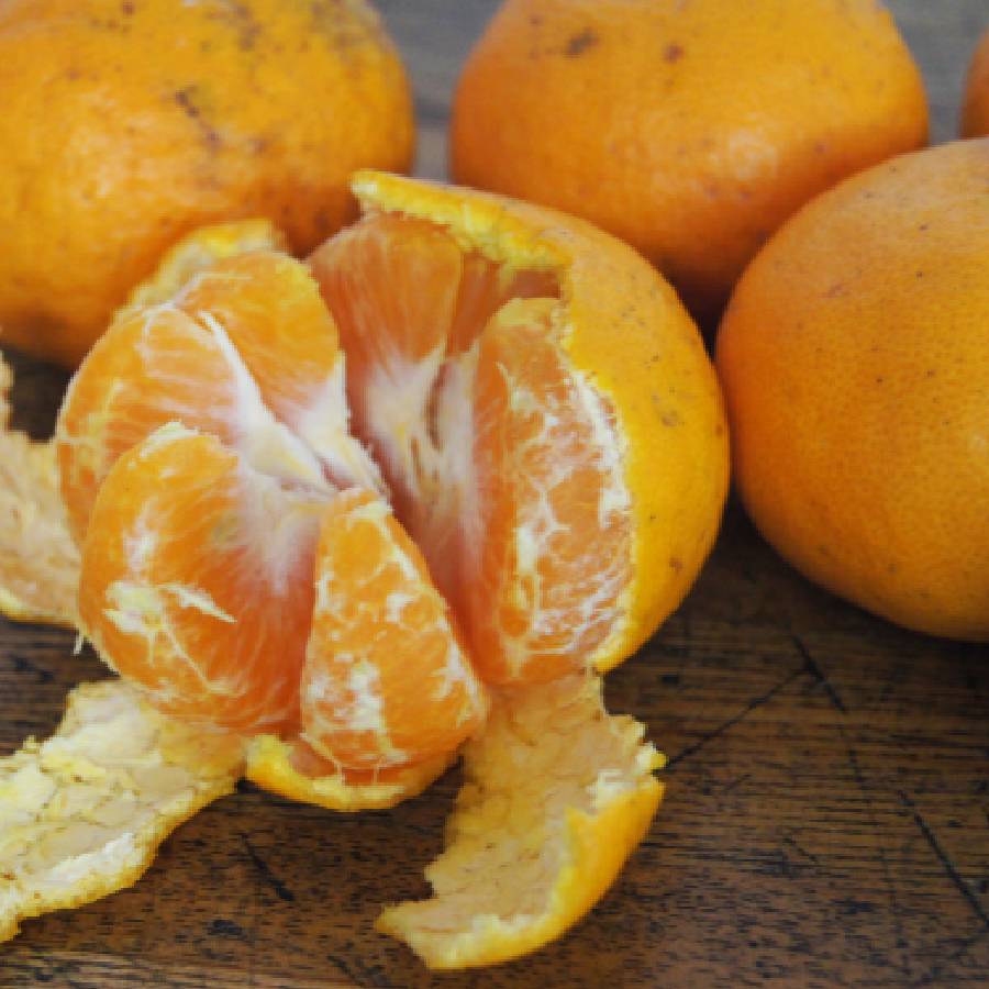 ＜無茶々園＞見た目は悪いが味は絶品　なつみ3kg