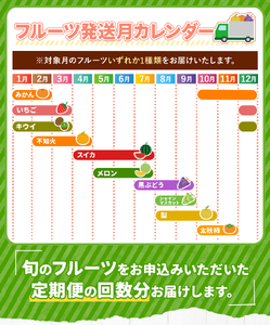 【 定期便 3回 】 ニッコリ 堪能 ！ 人気 フルーツ ご家庭用 ｜2回 3回 4回 5回 6回 7回 8回 9回 10回 11回 12回 4回（3カ月毎） 6回（2カ月毎） 