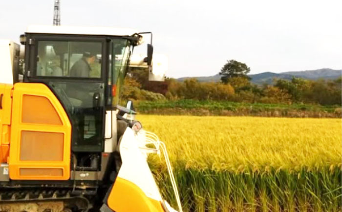 【令和7年産】伊藤農園の特別栽培米 ゆめぴりか 精米 10kg | 米 お米 特別栽培米 精米 北海道産 ゆめぴりか | 伊藤農園 [BOAT001]